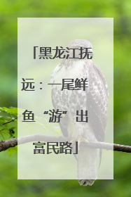 黑龙江抚远：一尾鲜鱼“游”出富民路