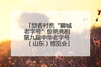 鼎香村携“聊城老字号”惊艳亮相第九届中华老字号（山东）博览会