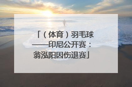 （体育）羽毛球——印尼公开赛：翁泓阳因伤退赛