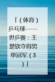 （体育）乒乓球——世乒赛：王楚钦夺得男单冠军（3）