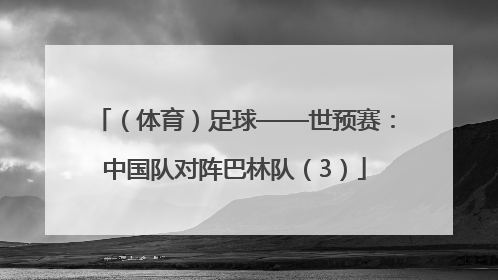 （体育）足球——世预赛：中国队对阵巴林队（3）