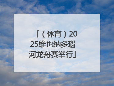 （体育）2025维也纳多瑙河龙舟赛举行
