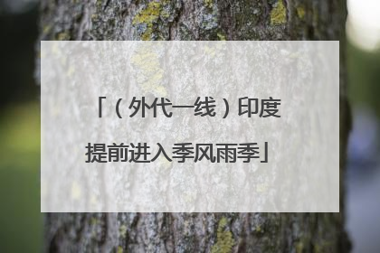 （外代一线）印度提前进入季风雨季