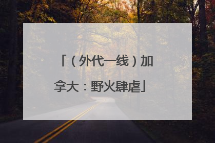 （外代一线）加拿大：野火肆虐