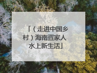 （走进中国乡村）海南疍家人 水上新生活