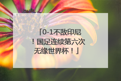 0-1不敌印尼！国足连续第六次无缘世界杯！