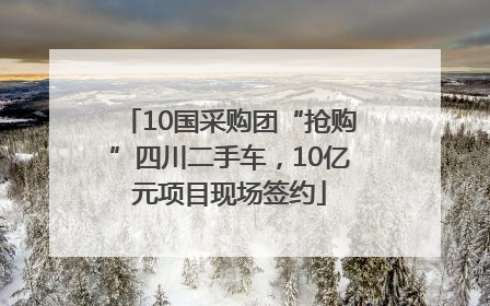 10国采购团“抢购”四川二手车，10亿元项目现场签约