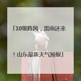 10级阵风，雷雨还来！山东最新天气预报