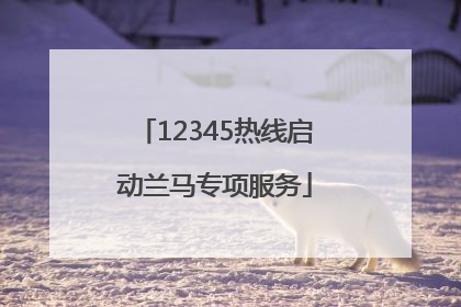 12345热线启动兰马专项服务