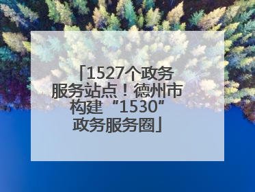 1527个政务服务站点！德州市构建“1530”政务服务圈