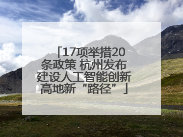 17项举措20条政策 杭州发布建设人工智能创新高地新“路径”