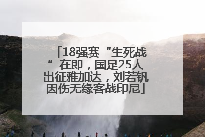 18强赛“生死战”在即，国足25人出征雅加达，刘若钒因伤无缘客战印尼