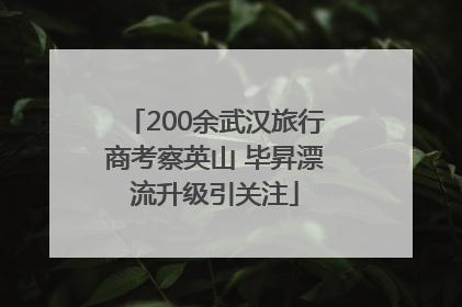 200余武汉旅行商考察英山 毕昇漂流升级引关注