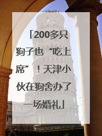 200多只狗子也“吃上席”！天津小伙在狗舍办了一场婚礼