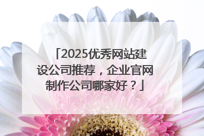 2025优秀网站建设公司推荐，企业官网制作公司哪家好？