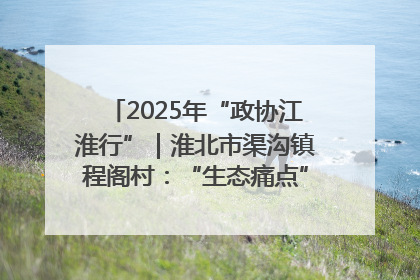 2025年“政协江淮行”｜淮北市渠沟镇程阁村：“生态痛点”变“生态景观”