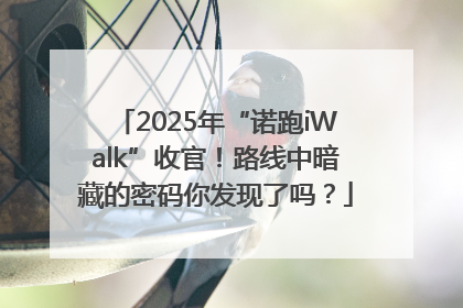 2025年“诺跑iWalk”收官！路线中暗藏的密码你发现了吗？