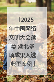 2025年中国网络文明大会落幕 湖北多项成果入选典型案例