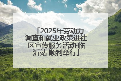 2025年劳动力调查和就业政策进社区宣传服务活动·临沂站 顺利举行