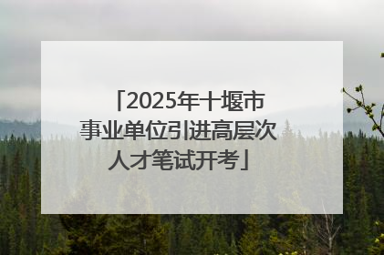 2025年十堰市事业单位引进高层次人才笔试开考