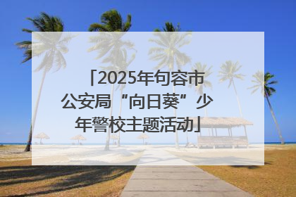 2025年句容市公安局“向日葵”少年警校主题活动