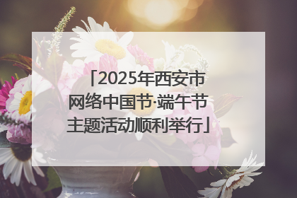2025年西安市网络中国节·端午节主题活动顺利举行