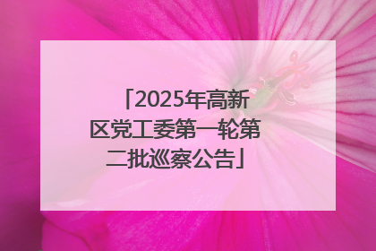2025年高新区党工委第一轮第二批巡察公告