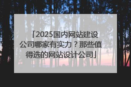 2025国内网站建设公司哪家有实力？那些值得选的网站设计公司