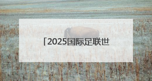 2025国际足联世俱杯开赛在即，山东元素期待精彩亮相