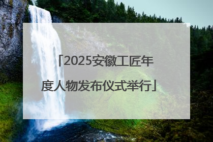 2025安徽工匠年度人物发布仪式举行