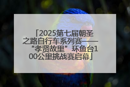 2025第七届朝圣之路自行车系列赛——“孝贤故里”环鱼台100公里挑战赛启幕