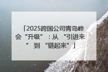 2025跨国公司青岛峰会“升级”：从 “引进来” 到 “链起来”