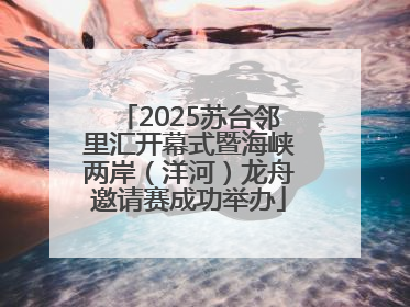 2025苏台邻里汇开幕式暨海峡两岸（洋河）龙舟邀请赛成功举办