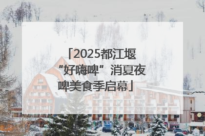 2025都江堰“好嗨啤”消夏夜啤美食季启幕