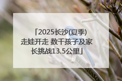 2025长沙(夏季)走娃开走 数千孩子及家长挑战13.5公里