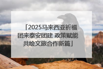 2025马来西亚祈福团来泰安团建 政策赋能共绘文旅合作新篇