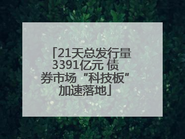 21天总发行量3391亿元 债券市场“科技板”加速落地