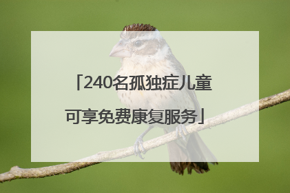 240名孤独症儿童可享免费康复服务