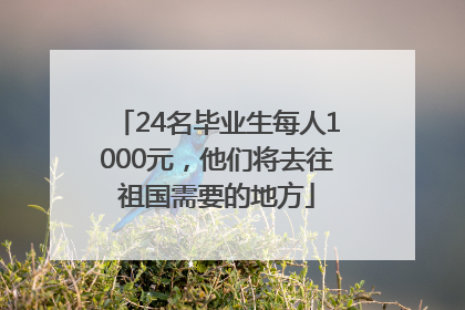 24名毕业生每人1000元，他们将去往祖国需要的地方