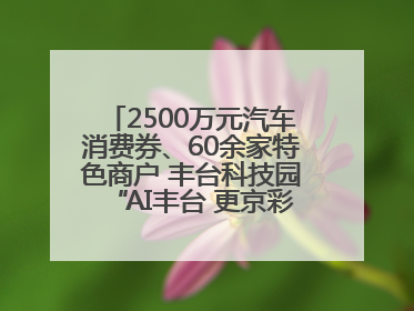 2500万元汽车消费券、60余家特色商户 丰台科技园“AI丰台 更京彩”未来玩家市集活动正式开幕