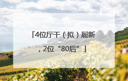 4位厅干（拟）履新，2位“80后”