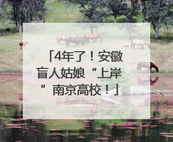 4年了！安徽盲人姑娘“上岸”南京高校！