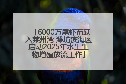 6000万尾虾苗跃入莱州湾 潍坊滨海区启动2025年水生生物增殖放流工作