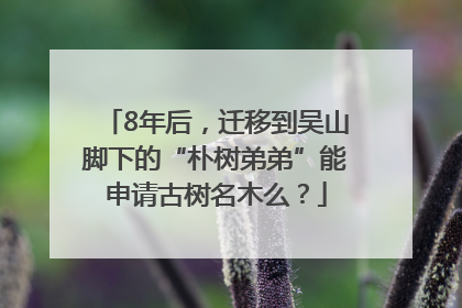 8年后，迁移到吴山脚下的“朴树弟弟”能申请古树名木么？