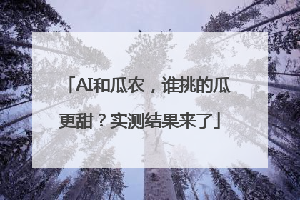 AI和瓜农，谁挑的瓜更甜？实测结果来了