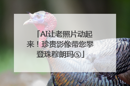 AI让老照片动起来！珍贵影像带您攀登珠穆朗玛⑤