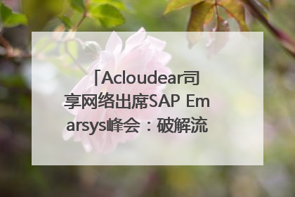 Acloudear司享网络出席SAP Emarsys峰会：破解流量困局，驱动精准增长