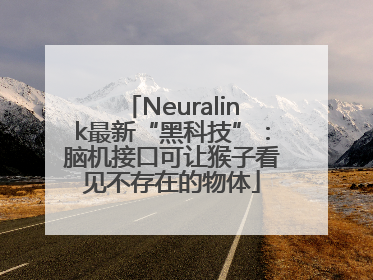 Neuralink最新“黑科技”：脑机接口可让猴子看见不存在的物体