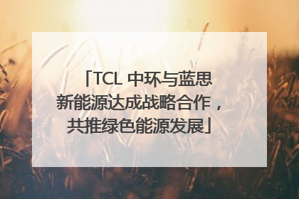 TCL 中环与蓝思新能源达成战略合作，共推绿色能源发展